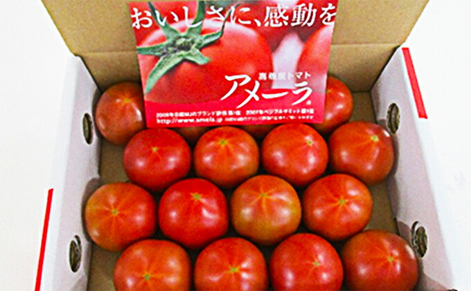 ふるさと納税 アメーラトマト 野菜 とまと Daemlu Cl