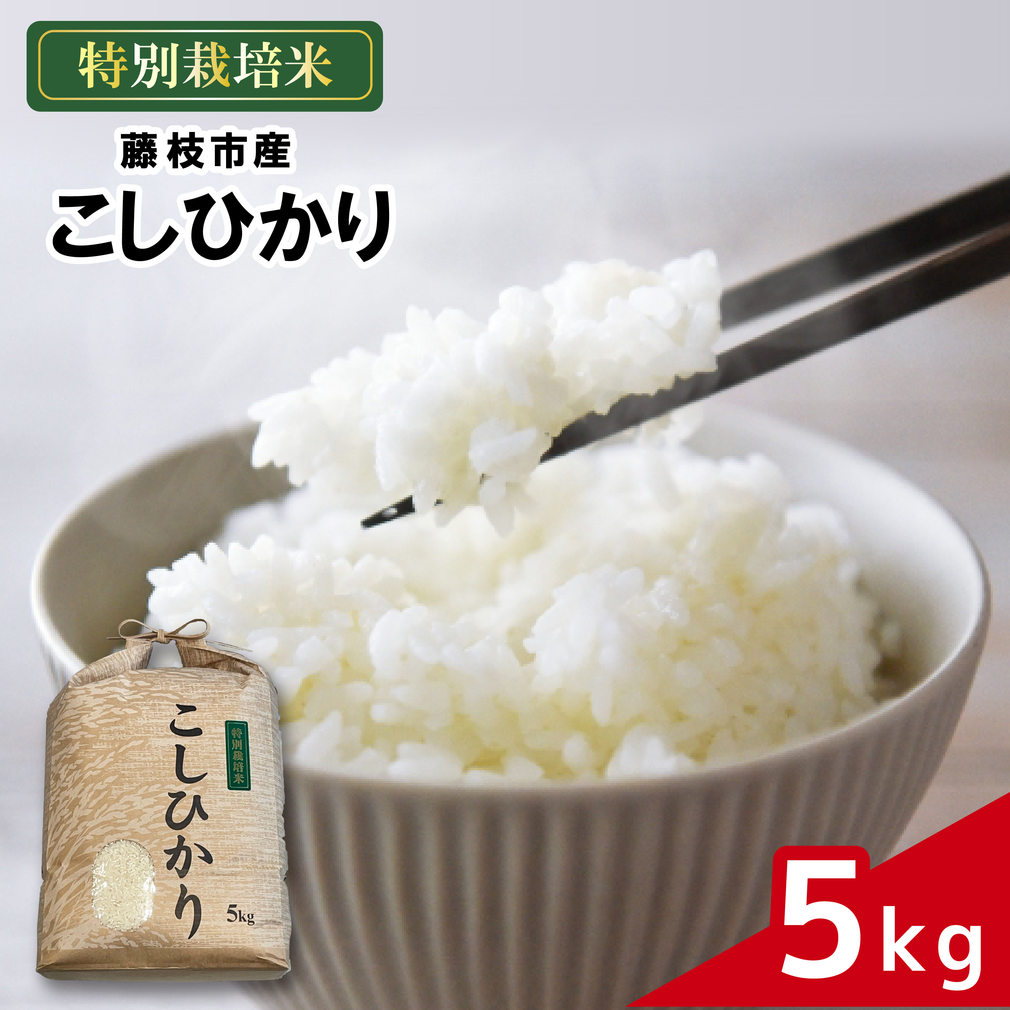 楽天市場】【ふるさと納税】【令和4年産】静岡県産米『歓喜の風』精米