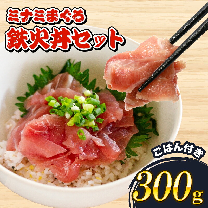 【ふるさと納税】 ミナミ マグロ 鉄火丼 セット 中トロ 切り落とし 丼 セット 酢飯 付き 南鮪 南まぐろ ごはん 加納商店 刺身 海鮮 グルメ マグロ丼 まぐろ丼 まぐろ 刺し身 海鮮丼 魚介 新鮮 美味しい おいしい 贈り物 ギフト 藤枝市 静岡県｜静岡県藤枝市