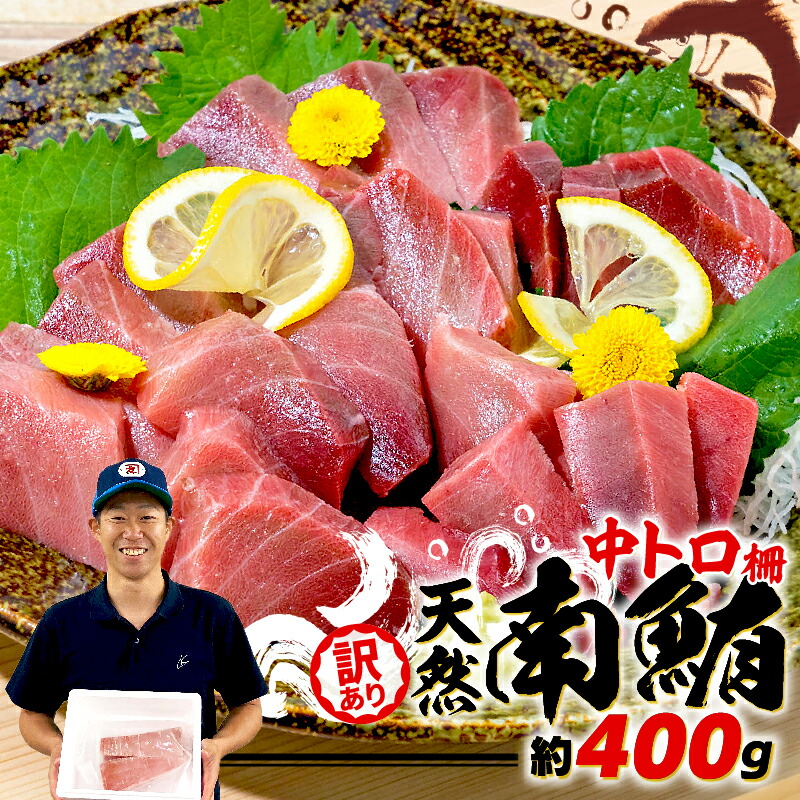 【ふるさと納税】 父の日 の プレゼントに！ 訳あり 天然 南マグロ 中トロ 約400g 不定型柵 まぐろ 解凍 鮪 漬け マグロ ユッケ マグロ 海鮮 ミナミ マグロ ふるさと納税マグロ ふるさと納税マグロ 静岡県 藤枝 オンライン決済限定 不揃い 規格外 ふるさと納税おすすめ