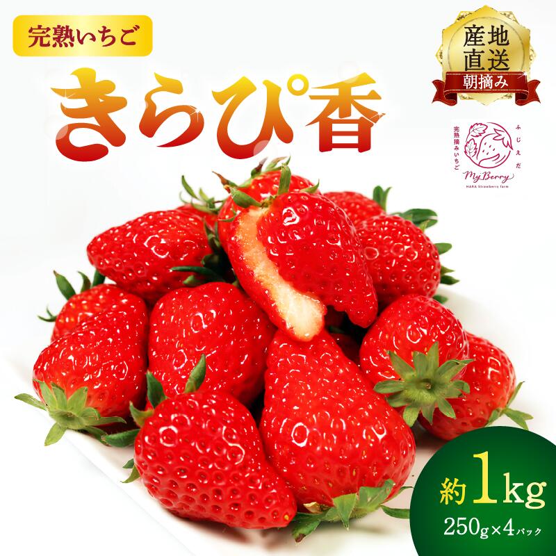 【ふるさと納税】 【先行予約 : 2025年3月～2025年5月発送予定 】 いちご きらぴ香 約1kg 約250g×4パック 朝どれ 完熟 苺 産地 直送 フレッシュ イチゴ 贈答 フルーツ 果物 国産 静岡県 藤枝市 ふるさと人気 ふるさとおすすめ