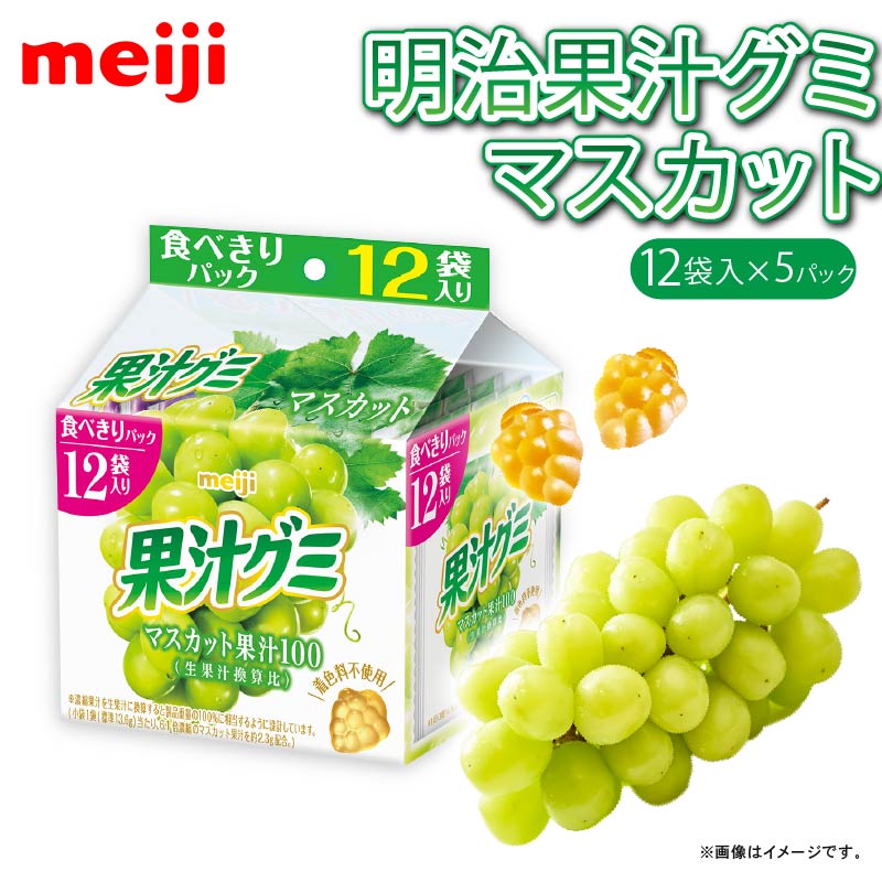 【ふるさと納税】 明治 果汁グミスマートパック マスカット 163ｇ &times; 5個 グミ お菓子 おやつ フルーツ 果物 果汁 詰め合わせ 詰合せ セット まとめ買い 静岡県 藤枝市｜静岡県藤枝市