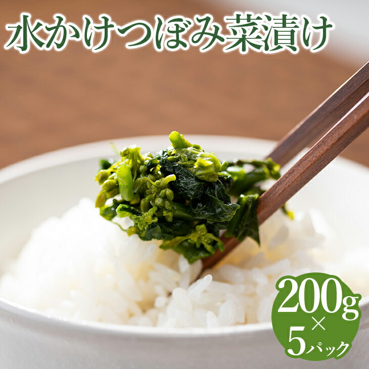 【ふるさと納税】水かけつぼみ菜漬け　５パックセット【惣菜　漬物】 7,920円