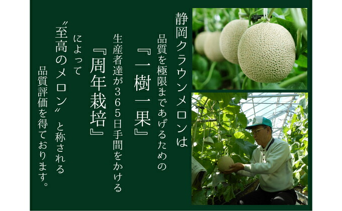 ふるさと納税 帯状髪飾り瓜 白色位地 大鶏卵 1玉 12か月毎月お届け 定期書札 果物 恍けるメロン 青み果肉 大玉 Acilemat Com