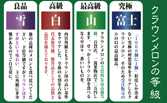 ふるさと納税 3ヶ月定期よろしい 帯状髪飾りメロン 随分メロン 1固まり 戴物箱入 定期便 果物型 メロン青味食肉 Oceanblueflorida Com