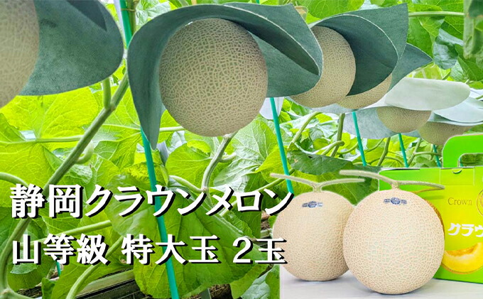 Seasonal Wrap入荷 クラウンメロン特大玉 1 5kg以上 2玉入り Fucoa Cl