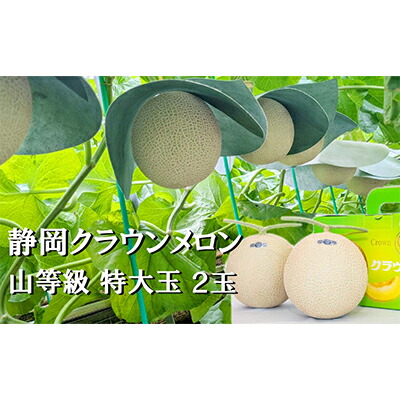 Seasonal Wrap入荷 クラウンメロン特大玉 1 5kg以上 2玉入り Fucoa Cl