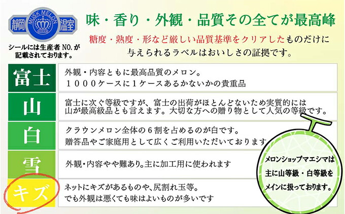 春のコレクション クラウンメロン 訳あり2玉 fucoa.cl