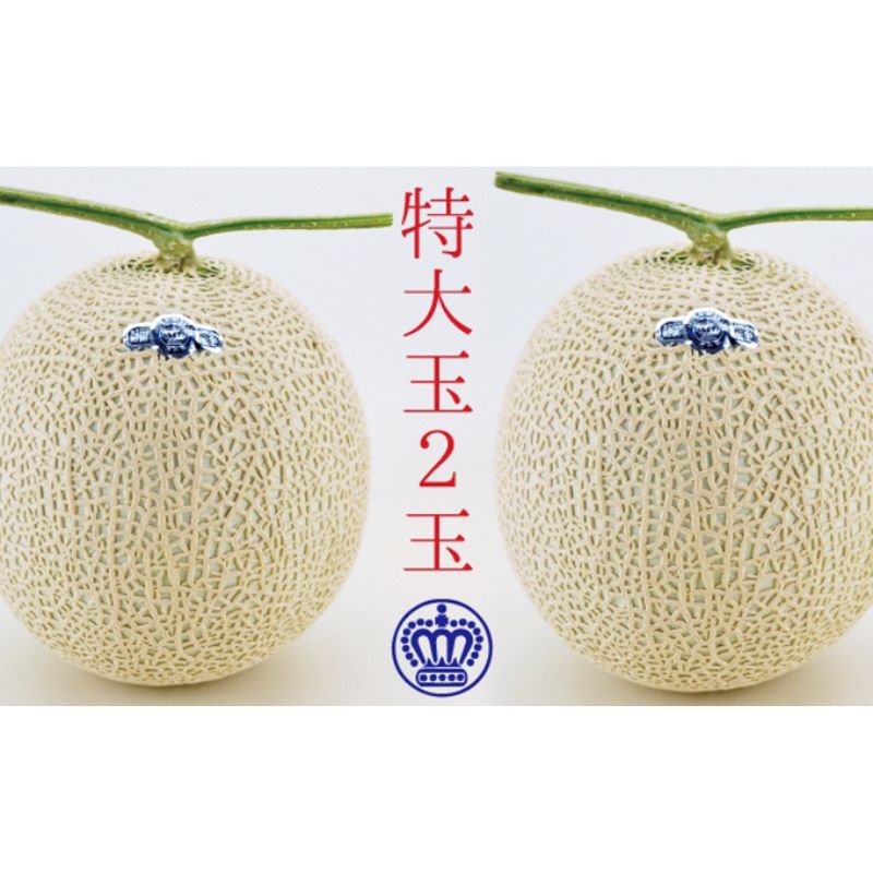【ふるさと納税】クラウンメロン（白等級）特大玉 ２玉入 果物類 メロン青肉 　お届け：◆返礼品到着後、すぐに状態をご確認ください◆