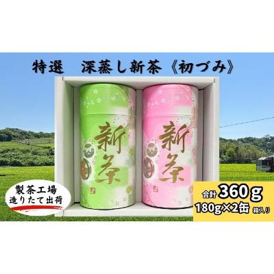 【ふるさと納税】特選　深蒸し上煎茶《匠》貼缶　箱ギフト（190g×2缶）　お届け：2025年5月30日～2026年4月30日