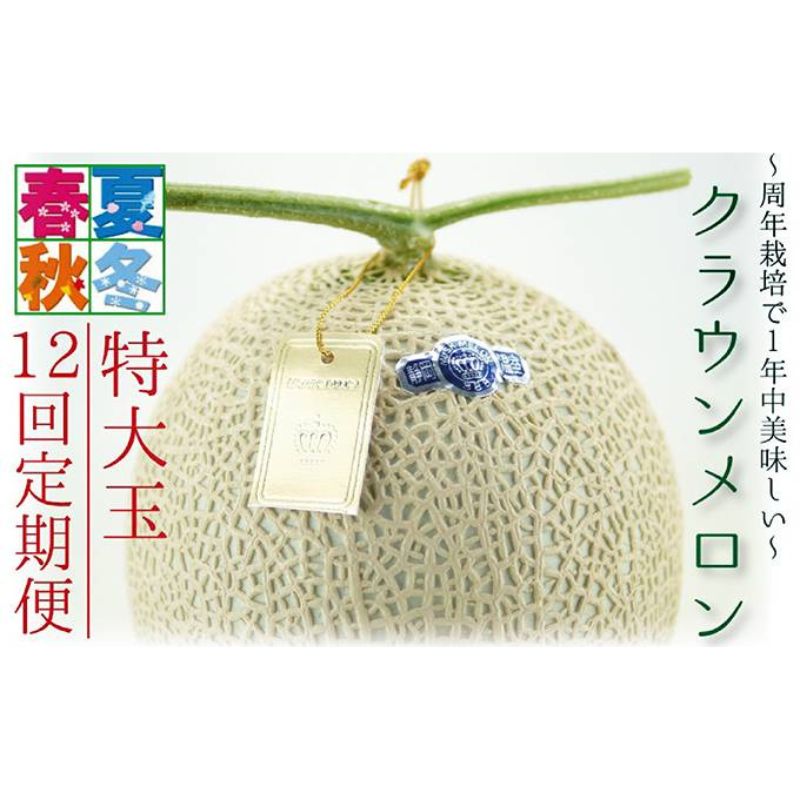 【ふるさと納税】【12ヶ月定期便】クラウンメロン（白等級）特大玉　1玉入 　お届け：◆返礼品到着後、すぐに状態をご確認ください◆