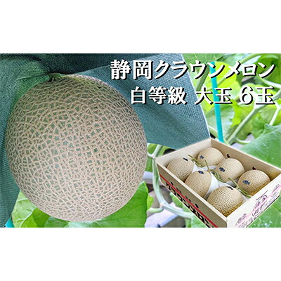 【ふるさと納税】クラウンメロン【並（白等級）】大玉（1.4kg前後）6玉入り 人気 厳選 ギフト 贈り物 デザート グルメ 果物 袋井市 果物類 メロン青肉 フルーツ ｜静岡県袋井市 56,100円