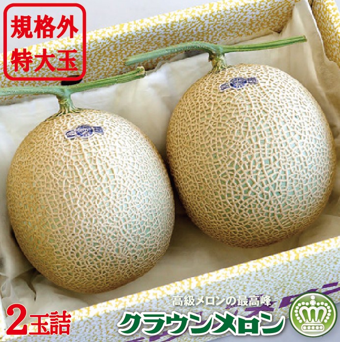 【ふるさと納税】クラウンメロン　規格外特大玉（約1.7Kg～）2玉入　 果物類 メロン青肉 　お届け：◆返礼品到着後、すぐに状態をご確認ください◆