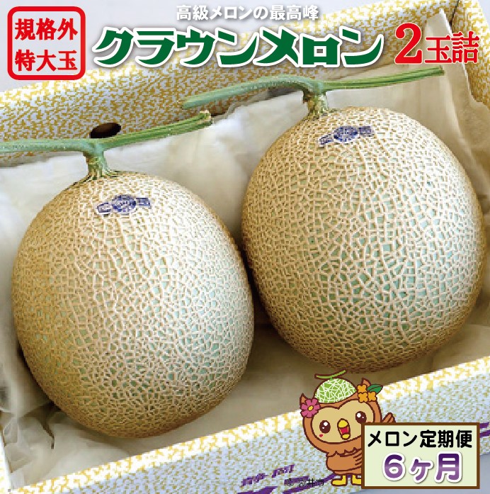 【ふるさと納税】【6ヶ月定期便】クラウンメロン　規格外特大玉（約1.7kg）2玉入 果物類 メロン青肉 　お届け：◆返礼品到着後、すぐに状態をご確認ください◆