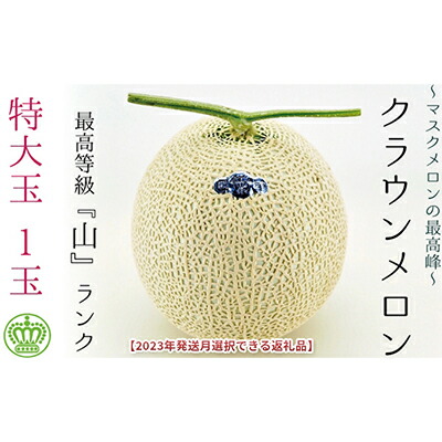 【ふるさと納税】★発送月選択できる返礼品★ 『クラウンメロン（山等級）特大玉  1玉』 ギフト箱入り メロン 人気 厳選 ギフト 贈り物 デザート グルメ  袋井市　お届け：お届け希望月の上旬～下旬　◆返礼品到着後、すぐに状態をご確認ください◆