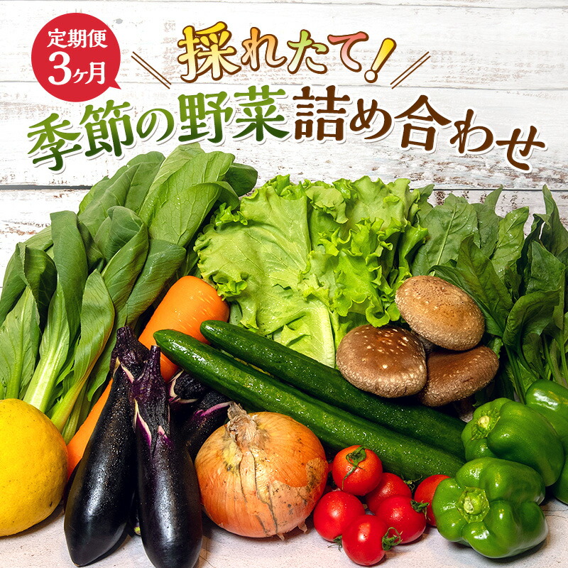 【ふるさと納税】とれたて 野菜 パック 定期便 3回 季節の野菜 セット 詰め合わせ 8品前後 野菜セット 野菜詰め合わせ 3ヶ月 ジャガイモ 人参 大根 小松菜 白ネギ グリーンリーフ チンゲン菜 椎茸 トマト 水菜 葉ネギ 人気 厳選 静岡県