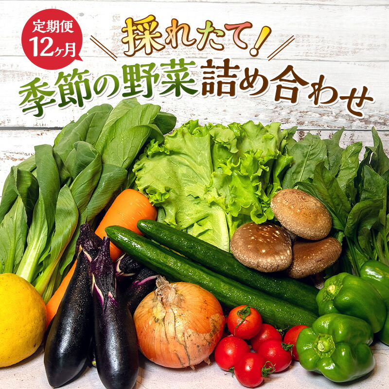 【ふるさと納税】野菜 定期便 12回 とれたて 季節の野菜 8品前後 パック 詰め合わせ セット 野菜セット 野菜詰め合わせ じゃがいも にんじん 大根 小松菜 白ネギ グリーンリーフ チンゲン菜 椎茸 トマト 水菜 葉ネギ 旬の野菜 旬 冷蔵 冷蔵配送 静岡 定期 12ヶ月