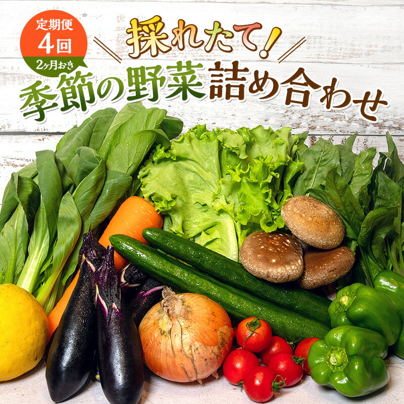 【ふるさと納税】とれたて 野菜 パック 定期便 4回 2ヶ月おき 季節の野菜 セット 詰め合わせ 8品前後 野菜セット 野菜詰め合わせ ジャガイモ 人参 大根 小松菜 白ネギ グリーンリーフ チンゲン菜 椎茸 トマト 水菜 葉ネギ 人気 厳選 静岡県