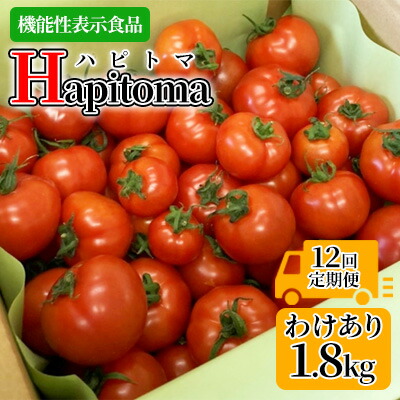 【ふるさと納税】【12ヶ月定期便】機能性表示食品 Hapitoma ハピトマ 訳あり（1.8kg）【配送不可：北海道・沖縄・離島】健康 ヘルシー 人気 厳選  野菜 緑黄色野菜 産地直送 ダブル成分 GABA リコピン トマト 国産 静岡県産 袋井市産 食材