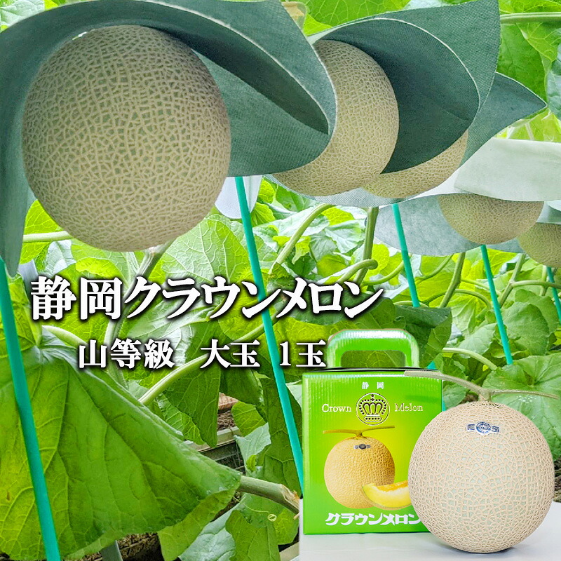 【ふるさと納税】クラウンメロン山等級1.4kg前後　1玉入り 果物 メロン青肉 フルーツ デザート 高級メロンブランド 高級メロン ブランドメロン