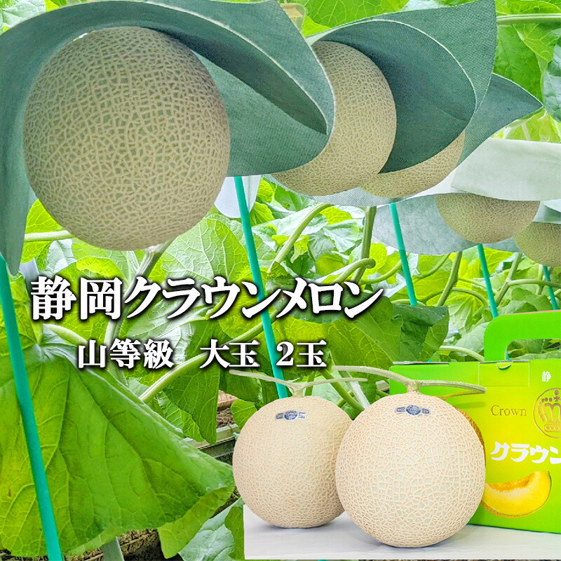 【ふるさと納税】クラウンメロン山等級1.4kg前後 2玉入り 果物 メロン青肉 フルーツ デザート 高級メロンブランド 高級メロン ブランドメロン