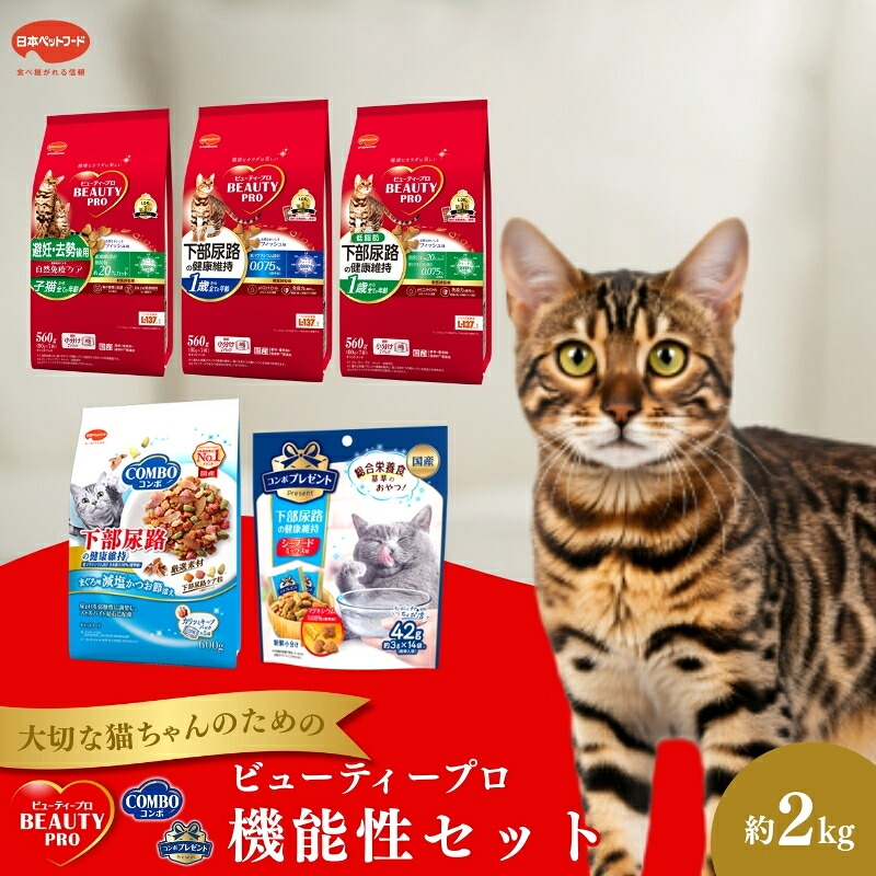袋井市2025年一般受けしっぺい返し品度合い