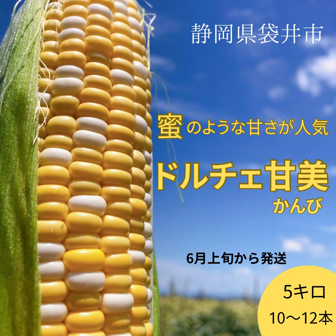 【ふるさと納税】【 先行予約 】リピーター続出！ とうもろこし 【 ドルチェ甘美 】約5kg 10～12本 トウモロコシ 甘い 野菜 採れたて 朝採り 農家直送 袋井市 静岡県　お届け：2025年6月上旬～７月中旬