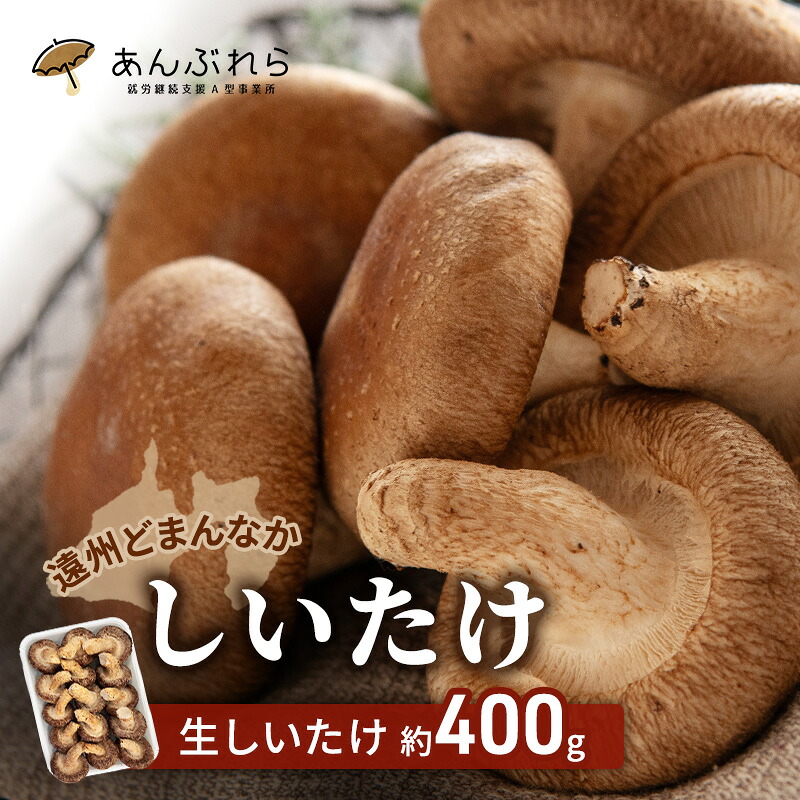 【ふるさと納税】【遠州どまんなかしいたけ】 生しいたけ 約400g 椎茸 産地直送 国産 料理 素材 出汁 日本料理 就労支援 福祉 静岡 袋井｜静岡県袋井市