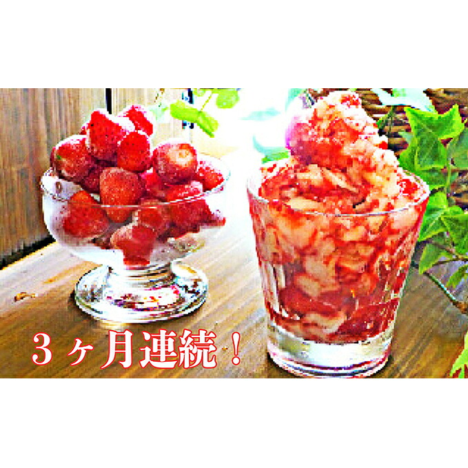 【ふるさと納税】3ヶ月連続！裾野産完熟冷凍イチゴ2kg 果物 フルーツ いちご 苺 ｜静岡県裾野市