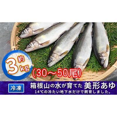 【ふるさと納税】箱根の水が育てた美形あゆ【冷凍 約3kg（30～50尾）】 魚貝類 鮎 アユ