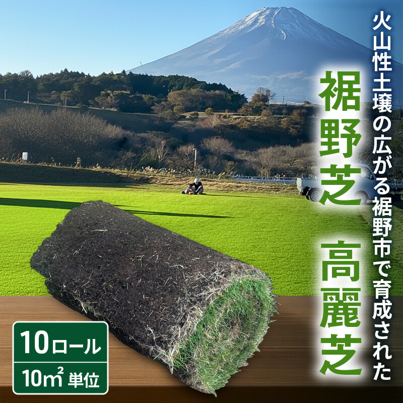 裾野市2025年一般受けしっぺい返し品度合い