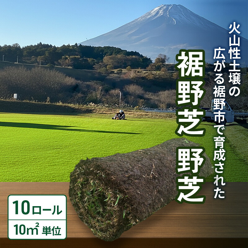 裾野市2025年一般受けしっぺい返し品度合い