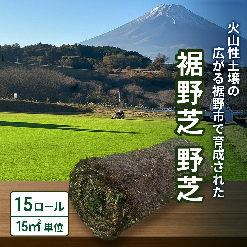 裾野市2025年一般受けしっぺい返し品度合い