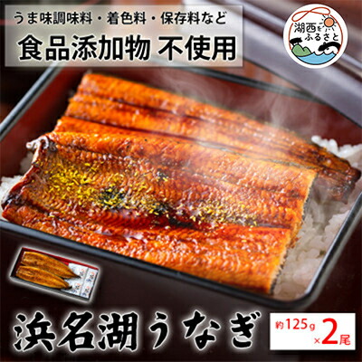 【ふるさと納税】食品添加物不使用の 浜名湖うなぎ 蒲焼 2尾 (約125g×2)_ うなぎ 鰻 ウナギ 浜名湖 浜名湖産 国産 静岡県 湖西市 ふるさと 惣菜 おかず 人気 美味しい 蒲焼き かば焼き 【配送不可地域：離島】【1472420】