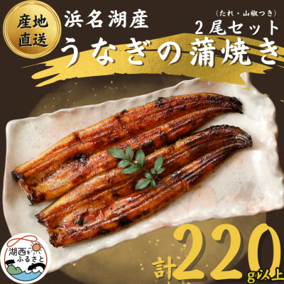 【ふるさと納税】【 国産 】 浜名湖うなぎ 蒲焼き 110g以上 2本 セット ( たれ ・ 山椒 付き)_ うなぎ ウナギ 鰻 蒲焼 かば焼き 浜名湖産 浜名湖 静岡県 湖西市 ふるさと 惣菜 おかず 人気 美味しい 【配送不可地域：離島】【1487458】