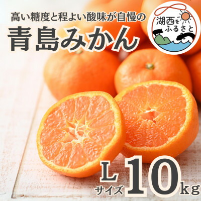 【ふるさと納税】【先行予約】【2026年1月初旬頃より順次出荷予定】青島みかん約10kg Lサイズ〔鈴木農園〕【1510095】