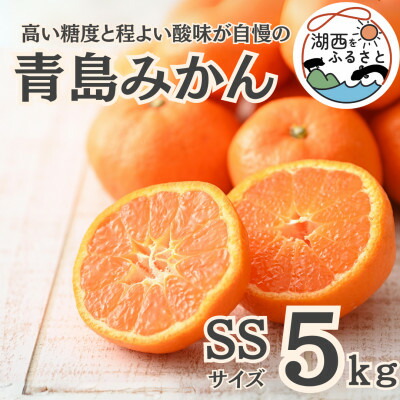 【ふるさと納税】【先行予約】【2026年1月初旬頃より順次出荷予定】青島みかん約5kg SSサイズ〔鈴木農園〕【1510107】