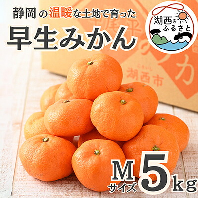 【ふるさと納税】【先行予約】【11月上旬より順次出荷予定】早生みかん約5kg Mサイズ〔鈴木農園〕【1510109】｜静岡県湖西市