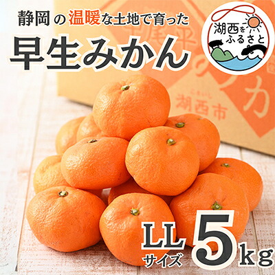 【ふるさと納税】【先行予約】【11月上旬より順次出荷予定】早生みかん約5kg LLサイズ〔鈴木農園〕【1510120】｜静岡県湖西市