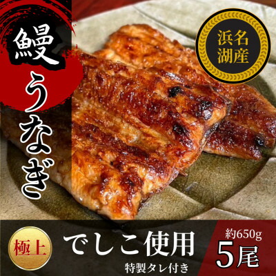 【ふるさと納税】浜名湖産でしこうなぎの蒲焼き　1尾あたり120～140g×5パック【配送不可地域：離島】【1588396】