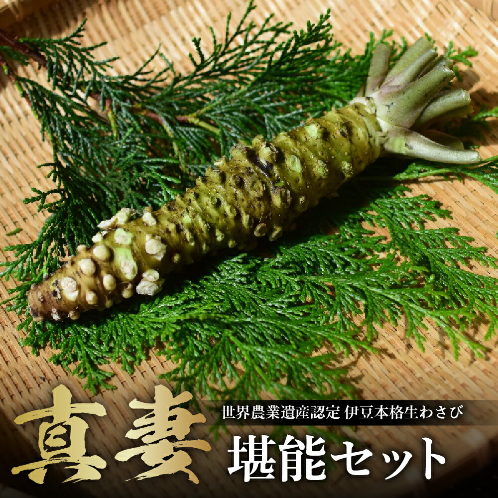 【ふるさと納税】 世界農業産認定 伊豆本格 生わさび 真妻 堪能セット おろし金付 <br><br>/ 最高級品種 新鮮 贈り物 ギフト 生 わさび ワサビ 薬味 詰め合わせ お取り寄せ 送料無料 静岡県 伊豆市  [012-005]