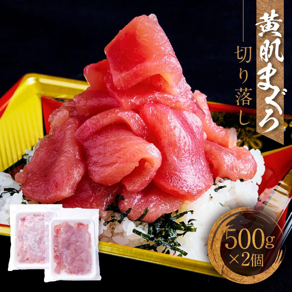 【ふるさと納税】天然　黄肌まぐろ切り落し1kg (500g×2パック)　小分け パック  静岡県 御前崎    訳あり  マグロ 鮪 便利 刺身 食べやすい スライス 天然 赤身 新鮮 海鮮丼 寿司 魚 魚介類 海鮮 食品 お取り寄せ 冷凍  送料無料