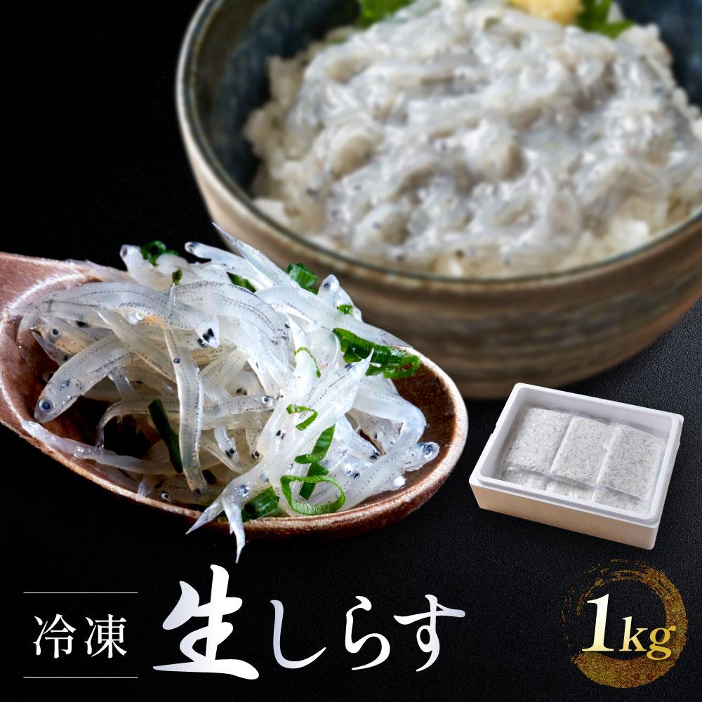 【ふるさと納税】冷凍生しらす　1kg（100g × 10）静岡県御前崎産  生しらす丼 10杯分 小分け 個包装 便利 大容量 徳用 海鮮丼  使いやすい食べきりサイズ どんぶり 刺身 おつまみ おかず 惣菜 晩ごはん | 魚 お魚 さかな 食品 人気 おすすめ 送料無料