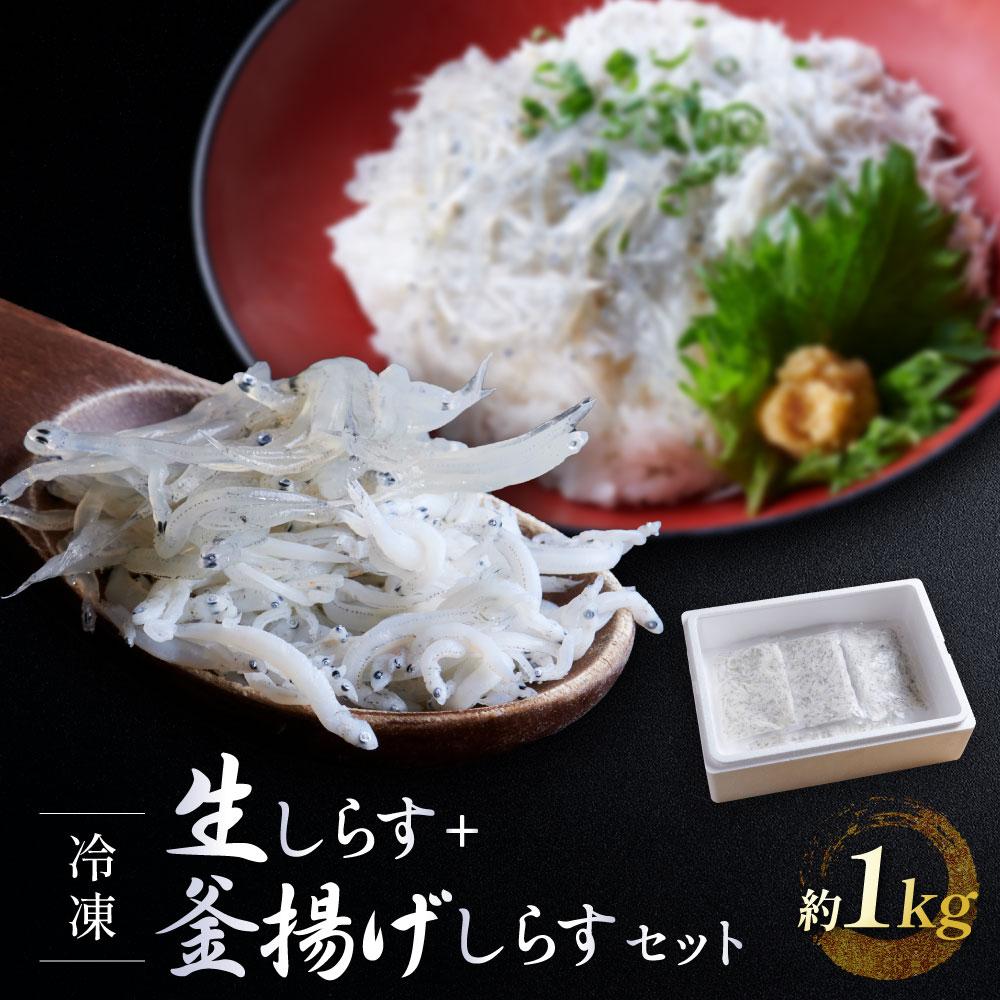 【ふるさと納税】冷凍生しらす＋釜揚げしらすセット 約1kg（生しらす100g × 5・釜揚げしらす70g × 7）静岡県御前崎産 しらす丼  小分け 個包装 便利 大容量 徳用  海鮮丼 どんぶり 刺身 おつまみ おかず 惣菜 晩ごはん | 魚 お魚 さかな 食品 人気 おすすめ 送料無料
