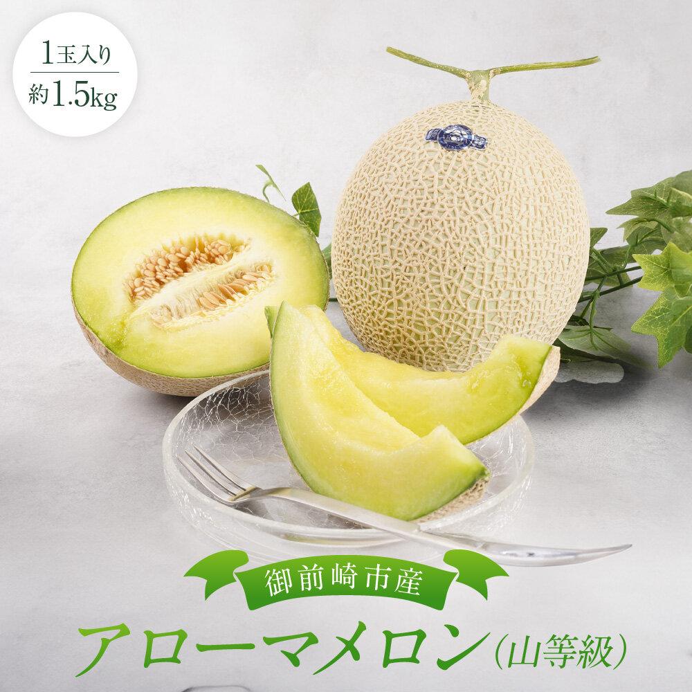 【ふるさと納税】御前崎市産アローマメロン（山等級）1玉入り
