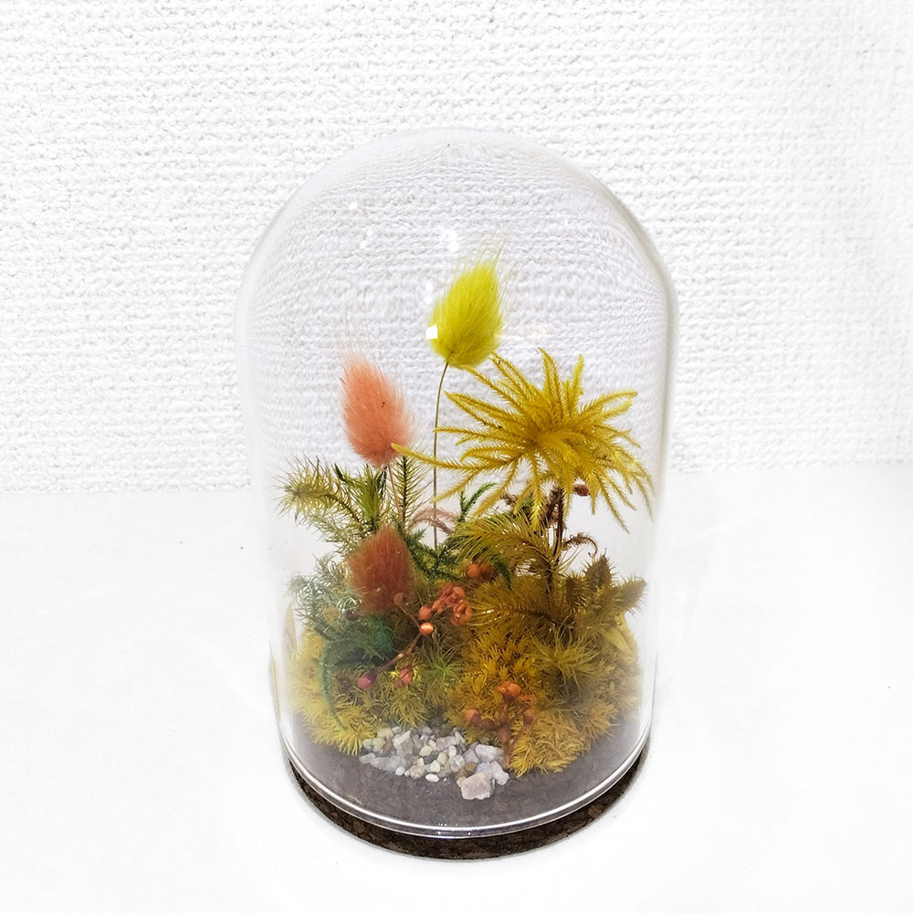 【ふるさと納税】【さとリウム・・】プリザーブド加工の テラリウム 秋 1セット 苔テラリウム ガラス瓶 プリザーブド苔 花 木の実 枝葉 枯れない 苔リウム 苔 プリザーブド 観葉植物 雑貨 観賞用 水やり不要 苔工房アイモス 静岡県 菊川市 送料無料