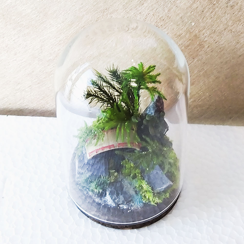 【ふるさと納税】【さとリウム・・】プリザーブド産業の テラリウム なごみ（橋）1書き割り 苔テラリウム ガラス瓶 プリザーブド苔 花 木ノ実 枝葉 枯れない 苔リウム 苔 プリザーブド 雑貨 褒めたたえる用 水やり不必要 苔仕事場アイモス 静岡県 菊川市 貨物輸送無料