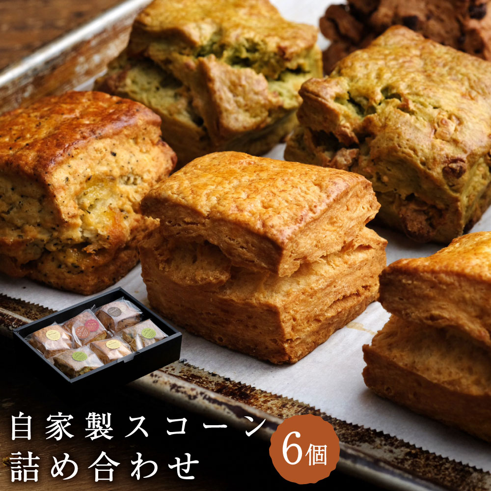 【ふるさと納税】自家製スコーン 詰め合わせ 約100g×6個入り 計約600g スコーン 深蒸し緑茶 ホワイトチョコレート 季節のフルーツ ナッツ 発酵バター 朝食 軽食 おやつ スイーツ 焼菓子 焼き菓子 セット お取り寄せ 静岡県 菊川市 送料無料|静岡県菊川市
