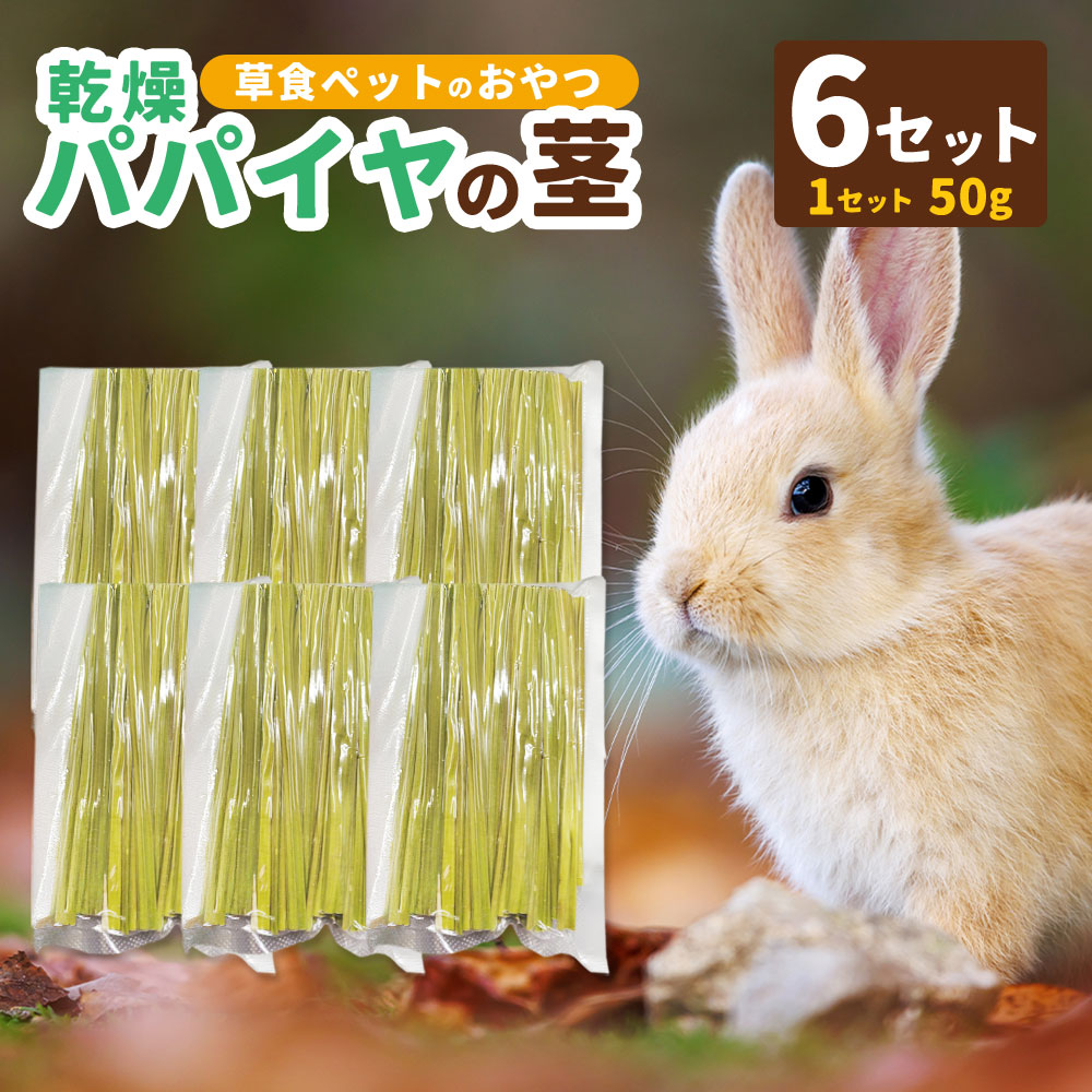 【ふるさと納税】かわき切るパパイヤの茎 50g（約20本～30本）×6仕掛ける（うさぎ等､草食の小毛の荒物のお兄ちゃん） 愛玩動物 うさぎ 家兎 ハムスター 実験材料 チンチラ 小毛の荒物 草食毛の荒物 お兄ちゃん 無つけ加える 無染めつける パパイヤ 茎 かわき切る 国産 貨物輸送無料 静岡県 菊川市