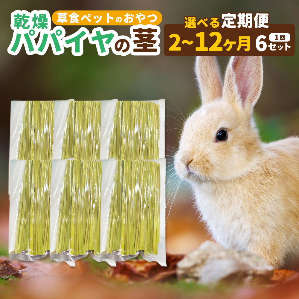 【ふるさと納税】かわき切るパパイヤの茎 50g（約20本～30本）×6書き割り（うさぎ等､草食の小毛の荒物のお兄ちゃん）【選べる定期便】（2回／3回／6回／9回／12回） 愛玩動物 うさぎ 家兎 ハムスター 実験材料 チンチラ 小毛の荒物 草食 無加えること 無染めつける パパイヤ 茎 かわき切る 国産 静岡県 菊川市